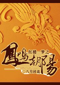 红楼一梦之凤鸣朝阳书包网 红楼一梦之凤鸣朝阳书包网