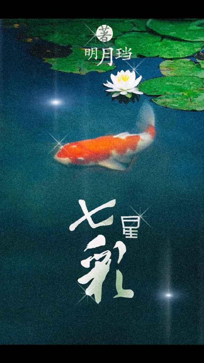 七星彩 七星彩
