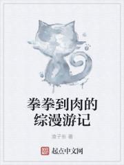 拳拳到肉的综漫游记 拳拳到肉的综漫游记